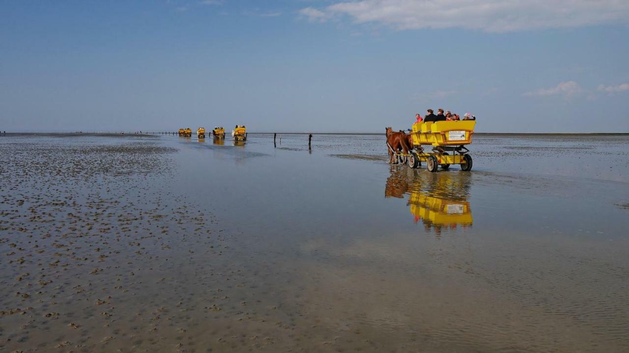 Ferienhaus Exner Hinter Dem Deich Cuxhaven Eksteriør billede