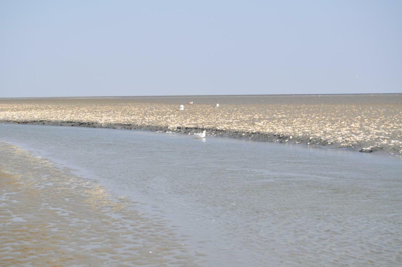 Ferienhaus Exner Hinter Dem Deich Cuxhaven Eksteriør billede