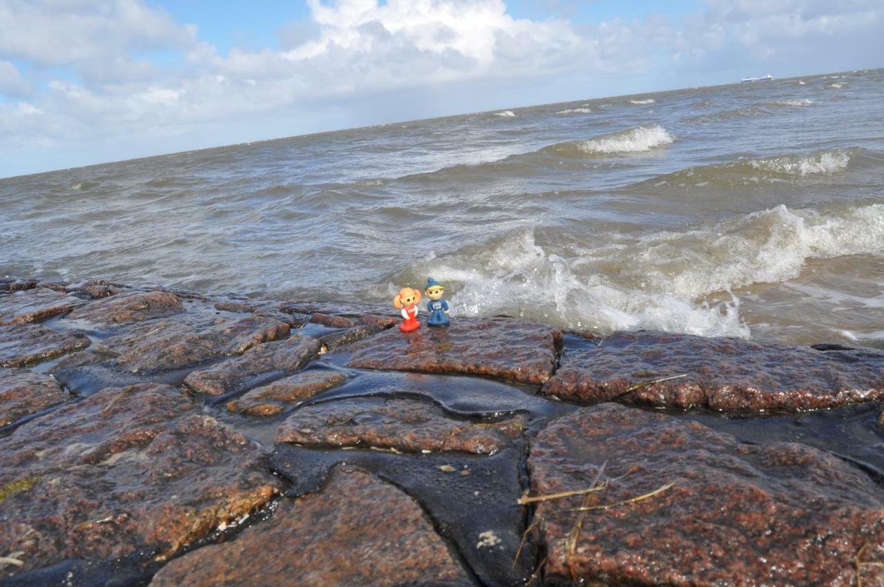 Ferienhaus Exner Hinter Dem Deich Cuxhaven Eksteriør billede